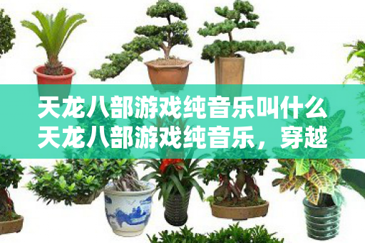 天龙八部游戏纯音乐叫什么天龙八部游戏纯音乐图片