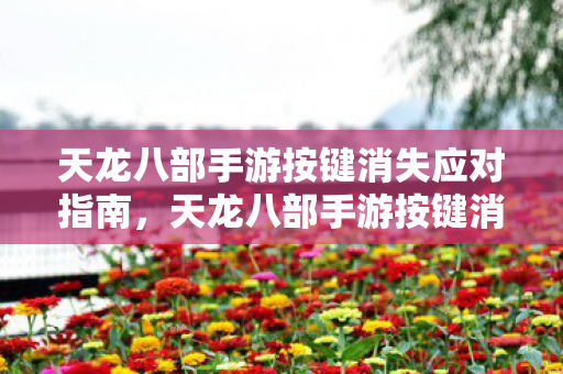 天龙八部手游按键消失应对指南图片