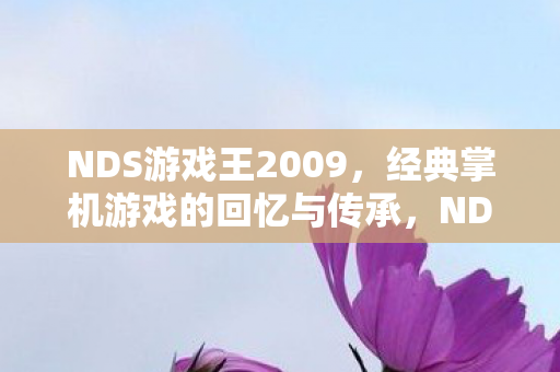 经典掌机游戏的回忆与传承图片