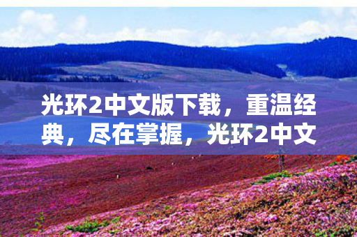 光环2中文版下载图片