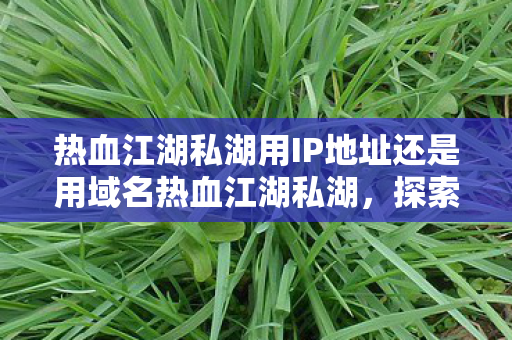 热血江湖私湖用IP地址还是用域名热血江湖私湖，探索未知世界的奇妙之旅，热血江湖私湖，探索未知世界的奇妙之旅