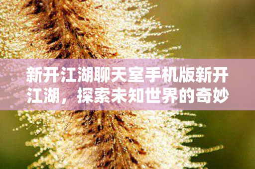 新开江湖聊天室手机版新开江湖，探索未知世界的奇妙之旅，新开江湖聊天室手机版，探索未知世界的奇妙之旅