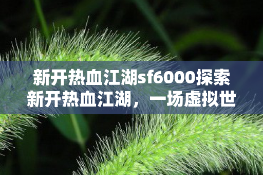 新开热血江湖sf6000探索新开热血江湖，一场虚拟世界的冒险之旅，新开热血江湖sf6000，虚拟世界的冒险之旅