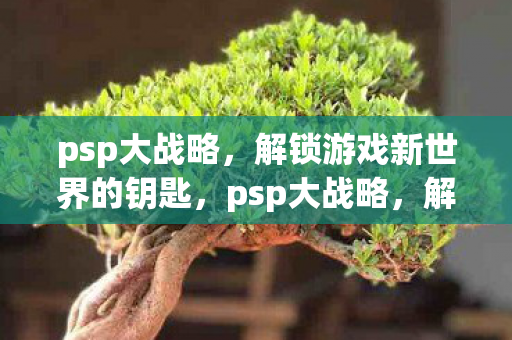解锁游戏新世界的钥匙图片