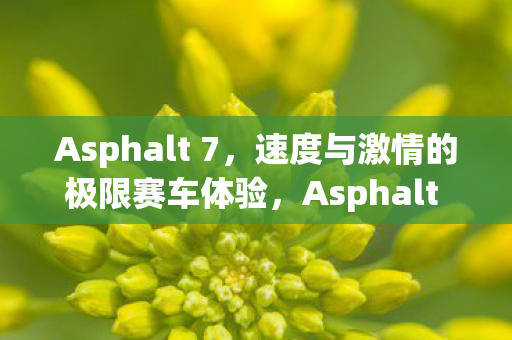 速度与激情的极限赛车体验图片