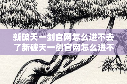 新破天一剑官网怎么进不去了新破天一剑官网怎么进不去？新破天一剑官网无法访问的解决方案