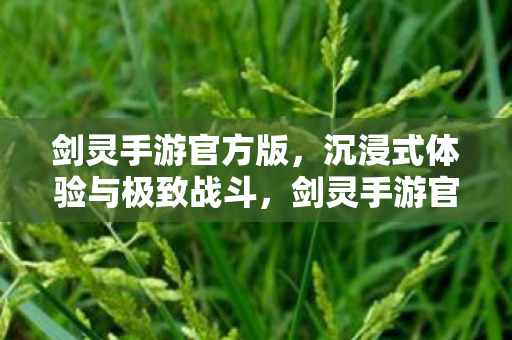 沉浸式体验与极致战斗等你来战图片