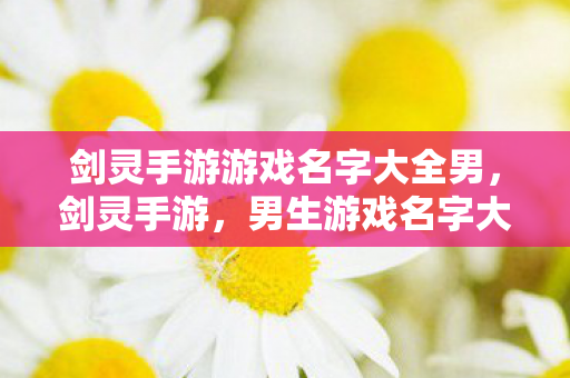 剑灵手游游戏名字大全男图片