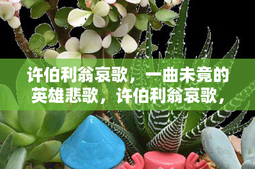 一曲未竟的英雄悲歌图片