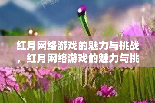 红月网络游戏的魅力与挑战并存图片
