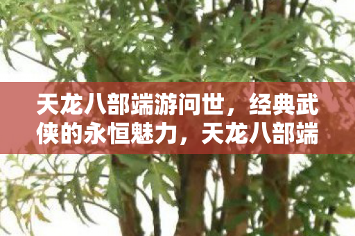 经典武侠再现永恒魅力图片