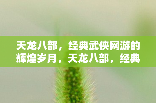 经典武侠网游的辉煌岁月图片