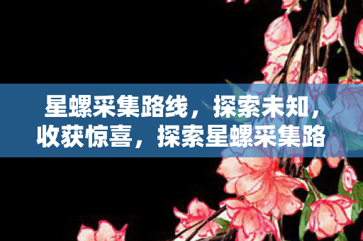 探索星螺采集路线图片