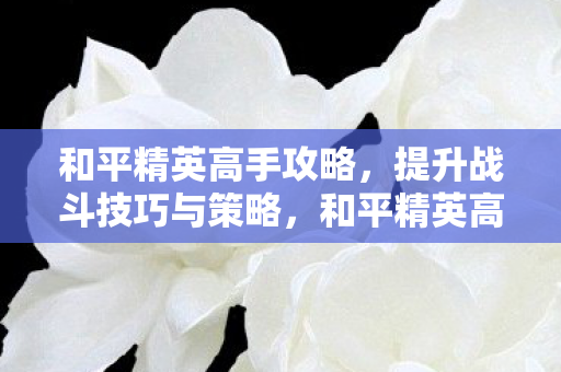 提升战斗技巧与策略图片
