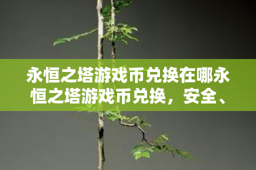永恒之塔游戏币兑换在哪永恒之塔游戏币兑换图片