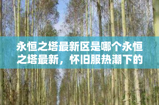 永恒之塔最新区是哪个永恒之塔最新图片
