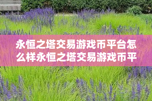 永恒之塔交易游戏币平台怎么样永恒之塔交易游戏币平台图片