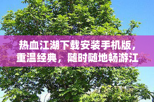 热血江湖下载安装手机版,重温经典,随时随地畅游江湖,热血江湖手机版下载,随时随地重温经典江湖 热血江湖下载安装手机版,重温经典,随时随地畅游江湖,热血江湖手机版下载,随时随地重温经典江湖