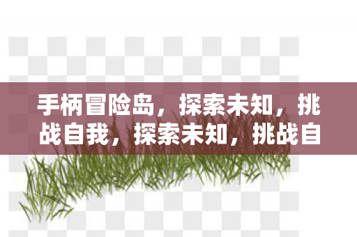 手柄冒险岛之旅图片