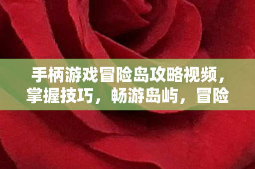 手柄游戏冒险岛攻略视频图片