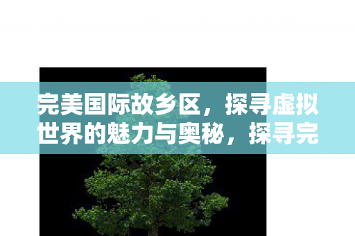 探寻虚拟世界的魅力与奥秘图片