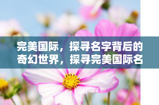 探寻完美国际名字背后的奇幻世界图片