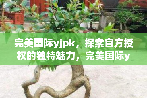 探索官方授权的独特魅力图片