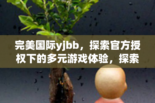 探索官方授权下的多元游戏体验图片