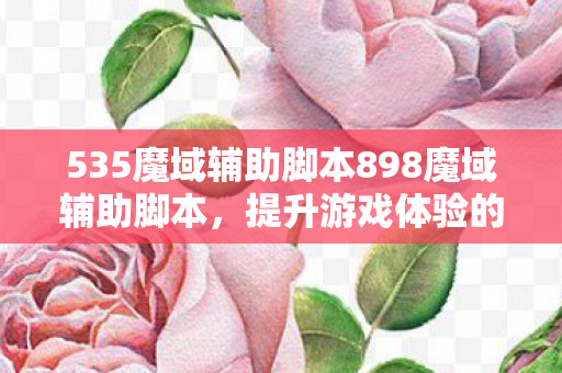 535魔域辅助脚本898魔域辅助脚本图片