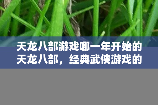 天龙八部游戏哪一年开始的天龙八部图片