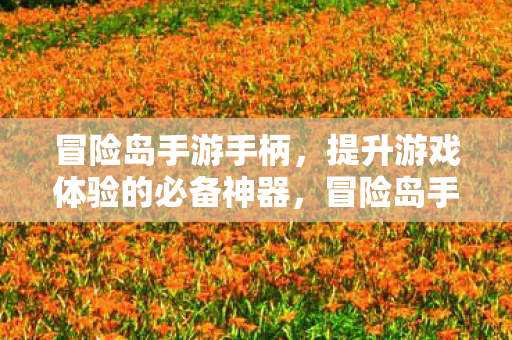 提升游戏体验的必备神器图片