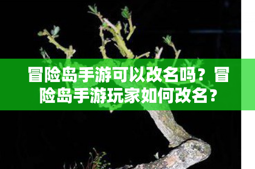 冒险岛手游玩家如何改名图片