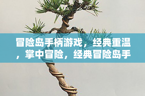 经典冒险岛手柄游戏图片