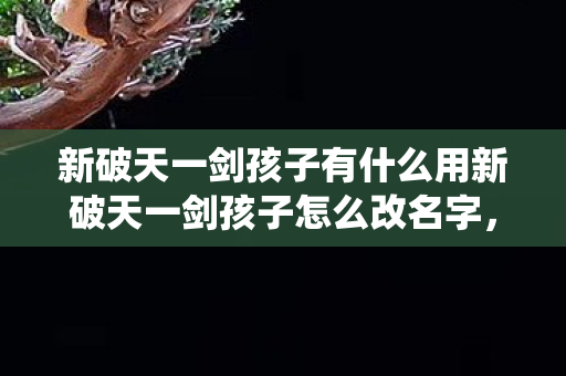 新破天一剑孩子有什么用新破天一剑孩子怎么改名字,新破天一剑,孩子系统详解及改名攻略 新破天一剑孩子有什么用新破天一剑孩子怎么改名字,新破天一剑,孩子系统详解及改名攻略