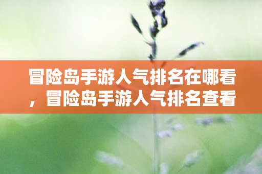 冒险岛手游人气排名查看方法图片