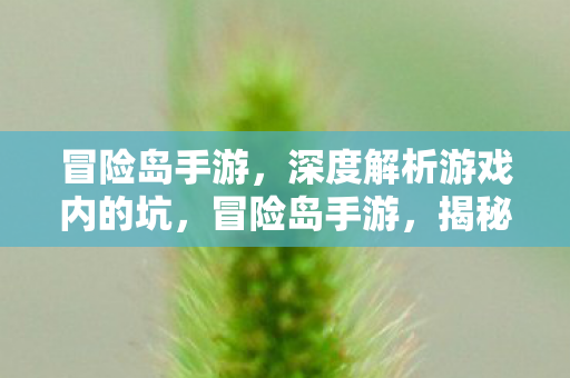 揭秘游戏内陷阱与坑点图片