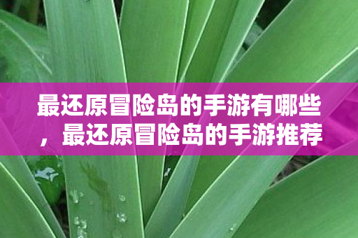 最还原冒险岛的手游有哪些图片