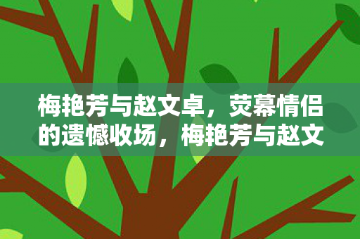 荧幕情侣的遗憾收场图片