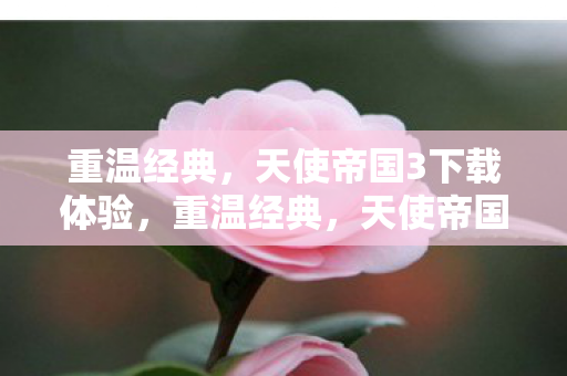 天使帝国3下载体验图片