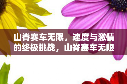 速度与激情的终极挑战图片