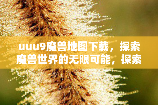 探索魔兽世界的无限可能图片