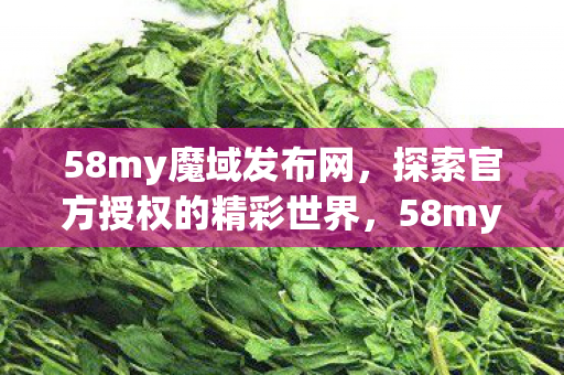 探索官方授权的精彩世界图片
