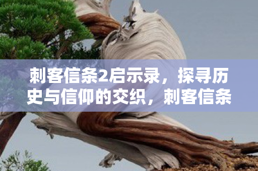 启示录揭秘历史与信仰的交织图片