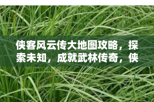 侠客风云传大地图探索攻略图片