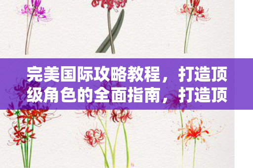 完美国际攻略教程全面指南图片