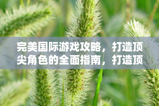 完美国际游戏攻略全面指南图片