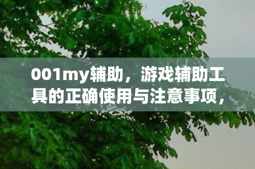 游戏辅助工具的正确使用指南与注意事项图片