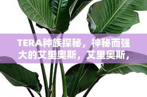 TERA中的神秘强大种族探秘图片