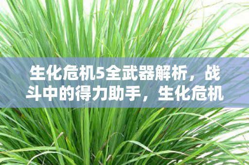 生化危机5全武器深度解析图片