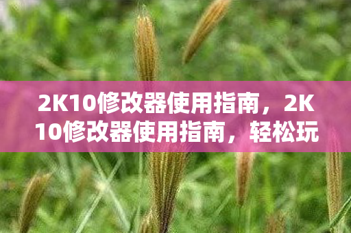 2K10修改器使用指南图片